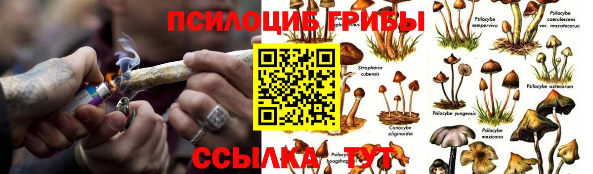 Октябрьский  Галлюциногенные грибы Magic Shrooms  Вход с VPN 